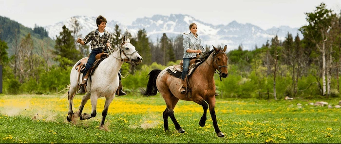 Confident plus-size woman riding Waverley a horse through a field with a smile on her face.